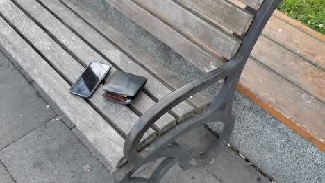 lost phone and wallet on park bench