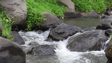 close up view mountain stream with black stones