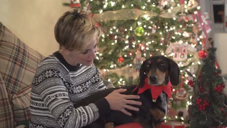 Weihnachtshaustier.-Frau-Mit-Hund-In-Der-Weihnachtszeit