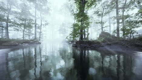 Estanque-Oscuro-En-Un-Bosque-Misterioso