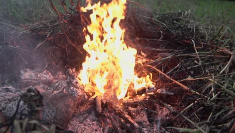 Gelbe-Feuerflammen,-Die-Beim-Verbrennen-Von-Trockenem-Holz,-Blättern-Und-Stroh-Während-Des-Lagerfeuers-Entstehen