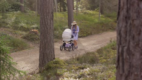 Lonely-Mother-with-Stroller-in-Woods,-Static-Shot-on-Golden-Hour-Soft-Ligh