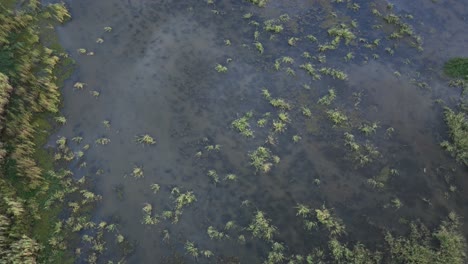 Luftaufnahme-Von-Sumpf-In-Der-Nähe-Von-Mobile-Bay,-Alabama