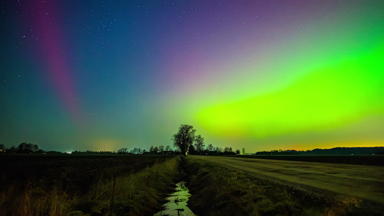 toma de ángulo bajo de las coloridas luces del norte aurora boreal polar bailando sobre los árboles a lo largo del campo rural por la noche