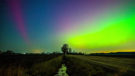 low angle shot of colorful northern lights polar aurora borealis dancing over trees along rural countryside at night time