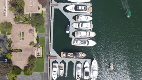 aerial view of harbor with luxury boats