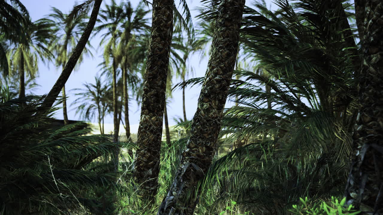Lush palms sway gently under the bright sun in a tropical paradise landscape