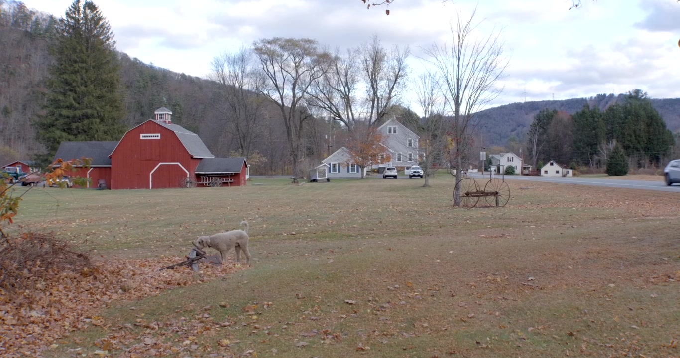 Amerikansk landskabspanorama med rød lade og en hund, der går forbi
