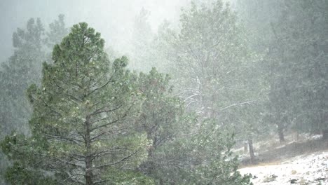 Fuertes-Nevadas-En-Las-Montañas-De-Colorado