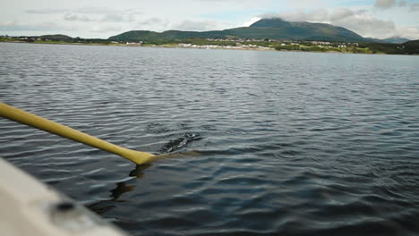 Rowing-out-in-the-ocean-on-a-beaitful