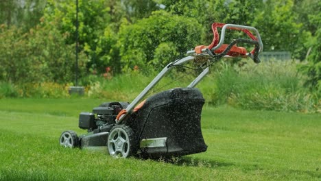 watering the garden, grass and flowers in the park, water drops in the sunlight. automatic watering system for the grass. drops of water are splashed in the sunlight. petrol driven lawn mower