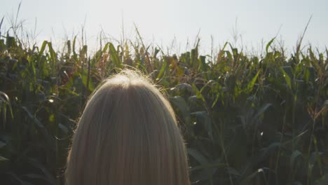 slow motion shot of blonde woman standing in front of corn field and enjoys the sun