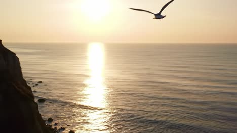 enjoy a breathtaking view of a golden sunset illuminating calm ocean waters. the sun slowly descends beyond the horizon, creating a serene atmosphere along the rocky coastline.