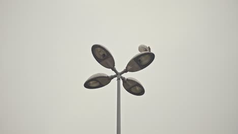 bird on top of city lamp