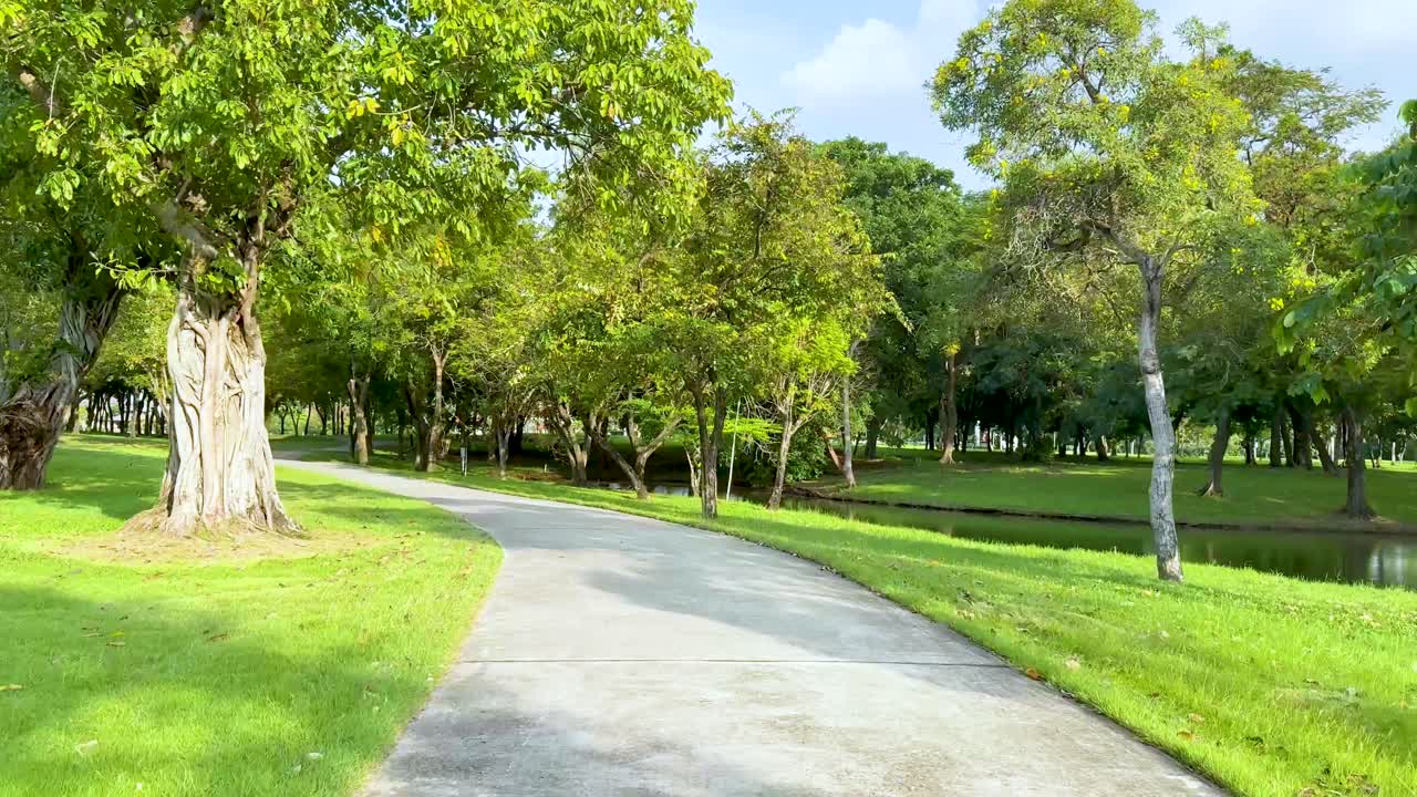 un paseo pacífico a través de un paisaje verde exuberante