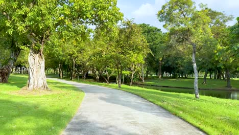 a peaceful walk through lush green scenery