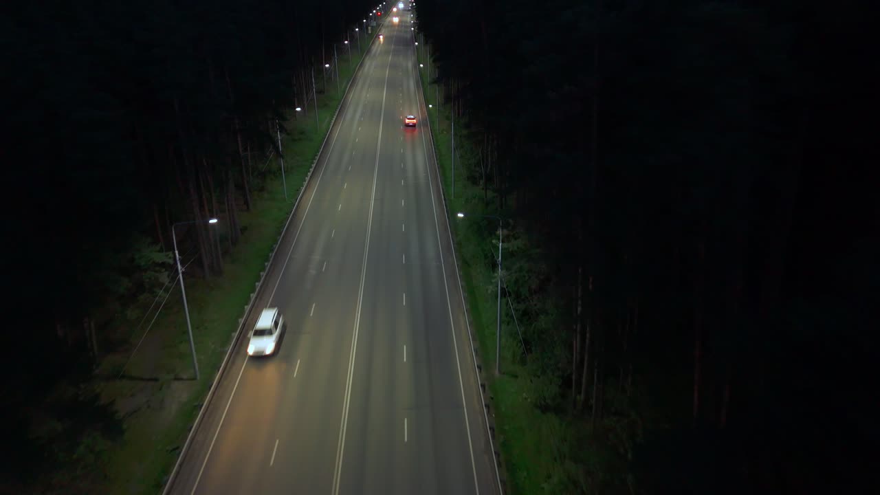 Night Highway Through Forest