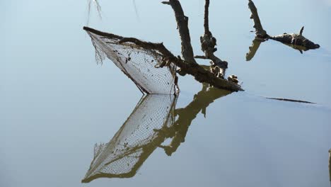 Una-Red-De-Lanzamiento-De-Cebo-De-Pesca-Abandonada-En-Un-Arroyo-De-Marea,-Charleston,-Carolina-Del-Sur