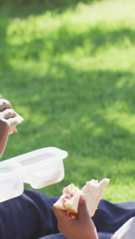 video de un feliz padre y hijo afroamericanos haciendo picnic en la hierba