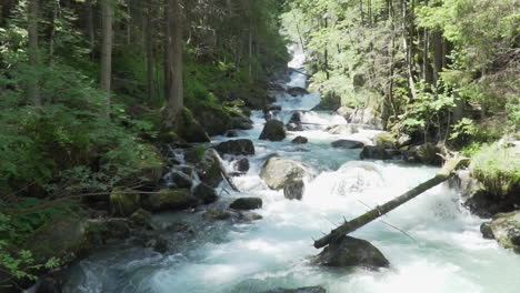 stream with blue water in the woods of the italian alps slow motion 100 fps