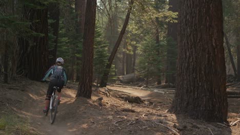 A-mountain-biker-rides-in-a-forest-5