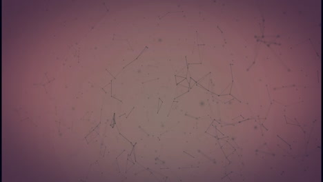 animación de la red de conexiones sobre fondo rojo