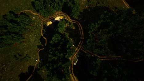 aerial view of the road through the forest
