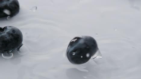 Close-up-Small-blueberries-splashing-on-water,-slow-motion---Fresh-berries-concept