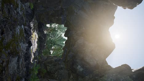 tomada vertical de una cueva tropical al atardecer