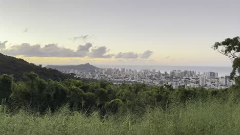 A-sweeping-panorama-of-Honolulu-at-sunset,-highlighting-the-cityscape-and-Diamond-Head,-framed-by-lush-green-foliage-and-a-serene-sky