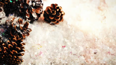 fir cones combined with falling snow