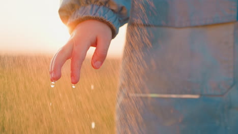 la mano de un niño extendiéndose para atrapar gotas de lluvia en un campo al atardecer