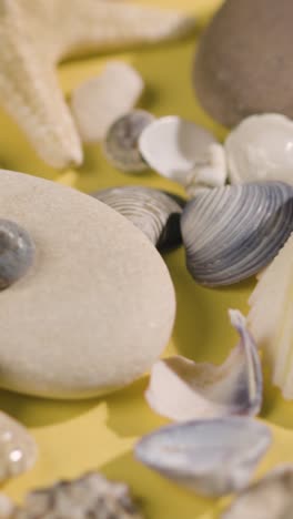 video vacaciones de verano verticales concepto de vacaciones con conchas piedras estrellas de mar en fondo amarillo