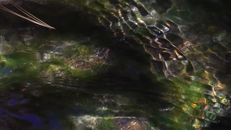 tranquil spring water flows over mossy rocks with ripples and shadows in a natural stream - close up, fresh water, flowing, peaceful, pure, mineral, abstract nature