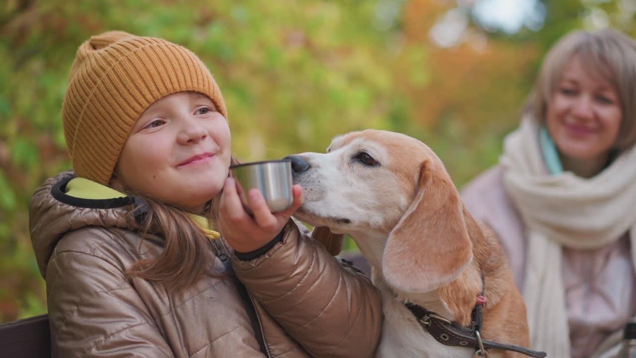 Cheerful girl holding metal cup close to face as curious dog sniffs drink and spills it with tail while jumping down, warm smiling woman watches nearby, surrounded by vibrant autumn forest colors