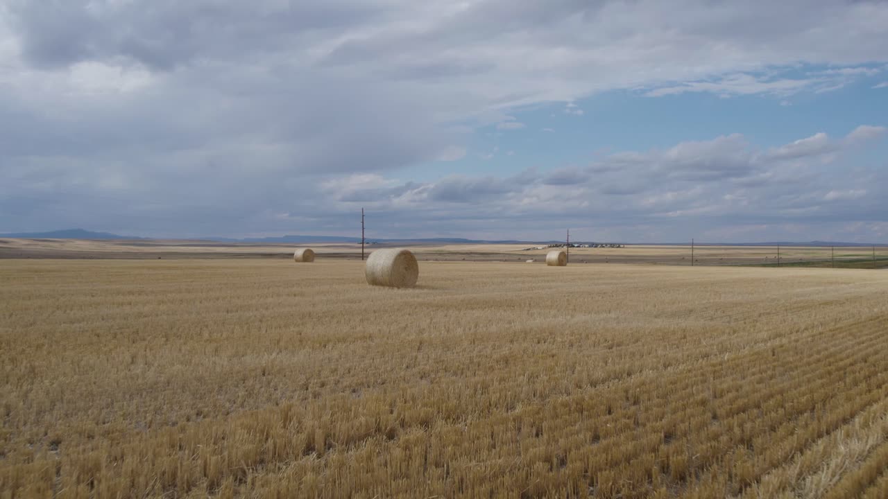 Güzel Big Sky, Montana Tarım Arazisinde Silaj Saman Balyaları - Drone ile Havadan.