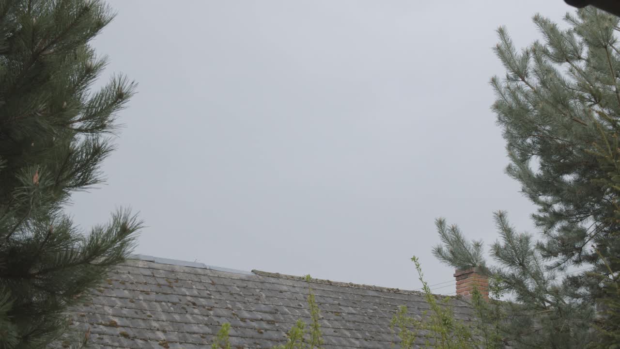 측면의 나무, 바람 앞의 흐린 하늘 아래 지붕