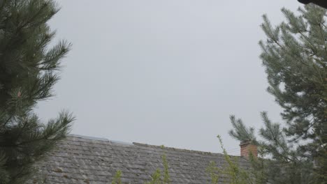 trees on the sides, roof on the bottom cloudy sky in front wind