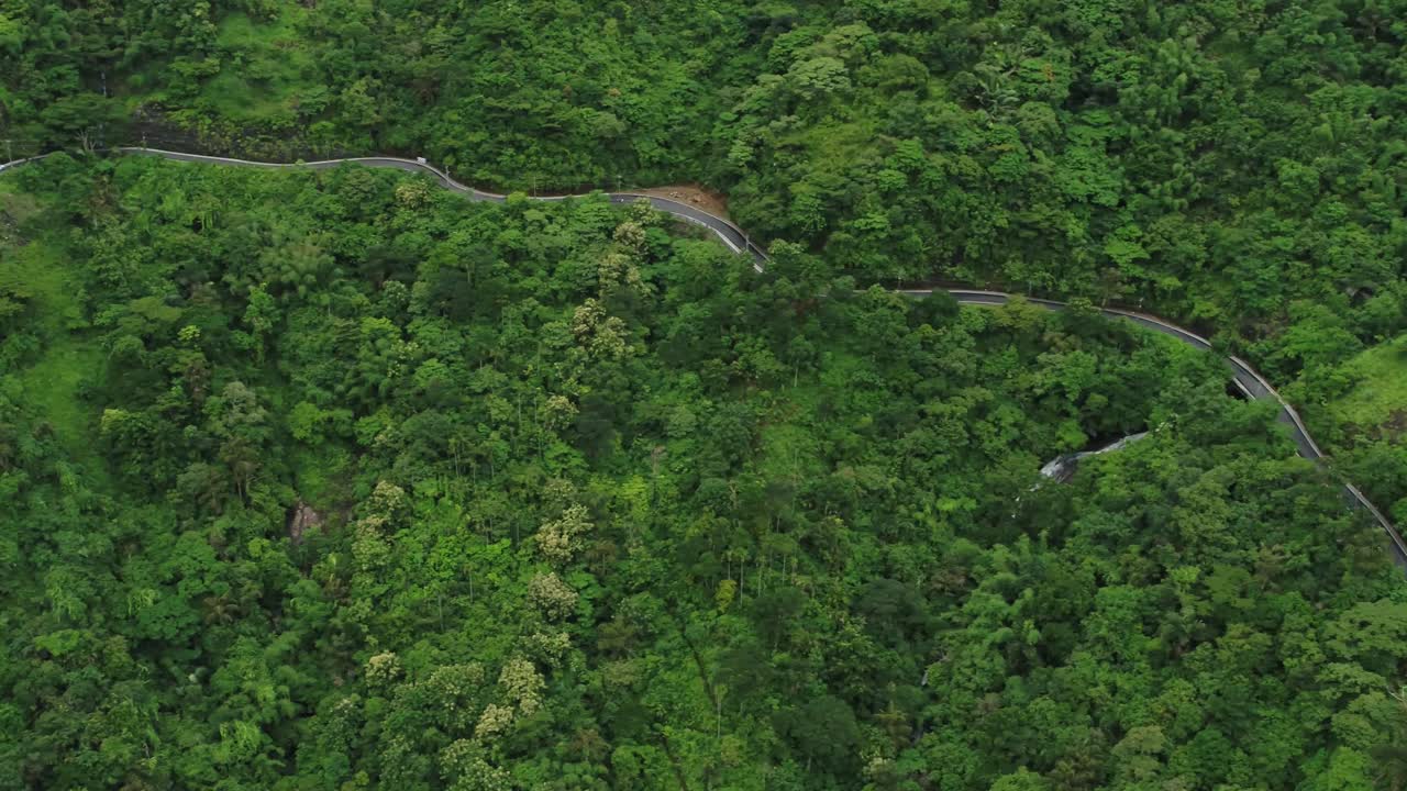 vagamon - la estación de la colina underdog en kerala, el paisaje que contiene un camino de colina brumoso, nublado, curvo que pasa a través de un terreno montañoso