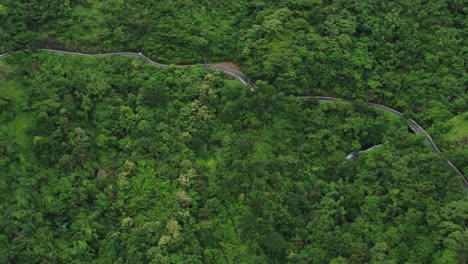 vagamon - la estación de la colina underdog en kerala, el paisaje que contiene un camino de colina brumoso, nublado, curvo que pasa a través de un terreno montañoso