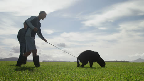 Shepherd-dog-walking-with-his-owner-in-the-farm-4k