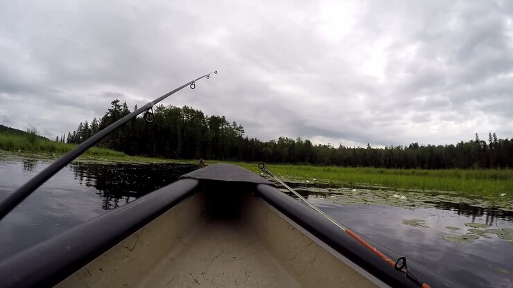 GoPro mounted at front of canoe paddling along small river in Northern Ontario Canada. Dense lily pads on water, distant shoreline with spruce trees and granite rocks, fishing rod tips visible under c