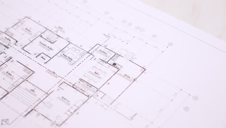 Intricately drawn house plan, revealing the careful arrangement of spaces, furniture, and decor elements