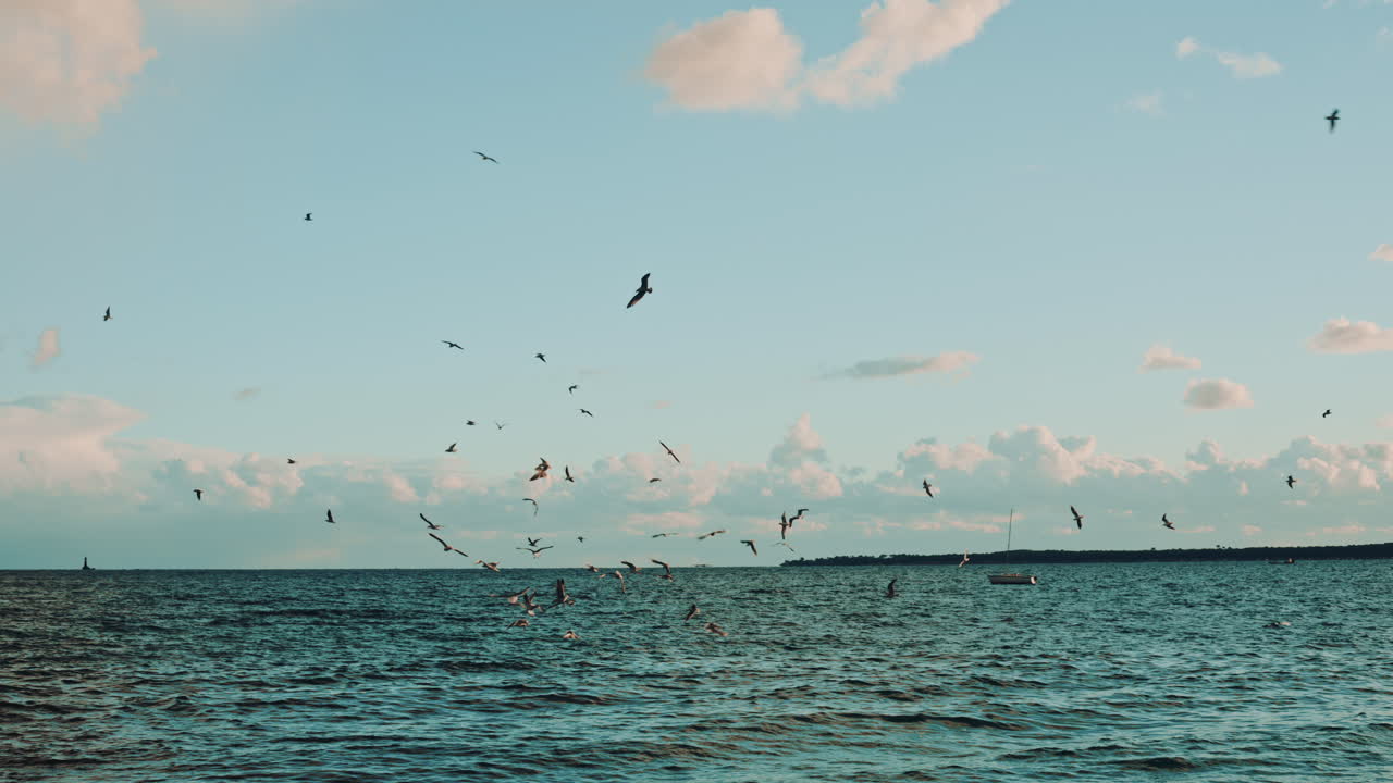 Row of tall palm trees standing against a dramatic sky filled with large clouds