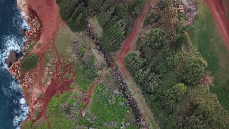 drone flying up above old rock wall, dirt road, and ocean cliffs in kauai, hawaii