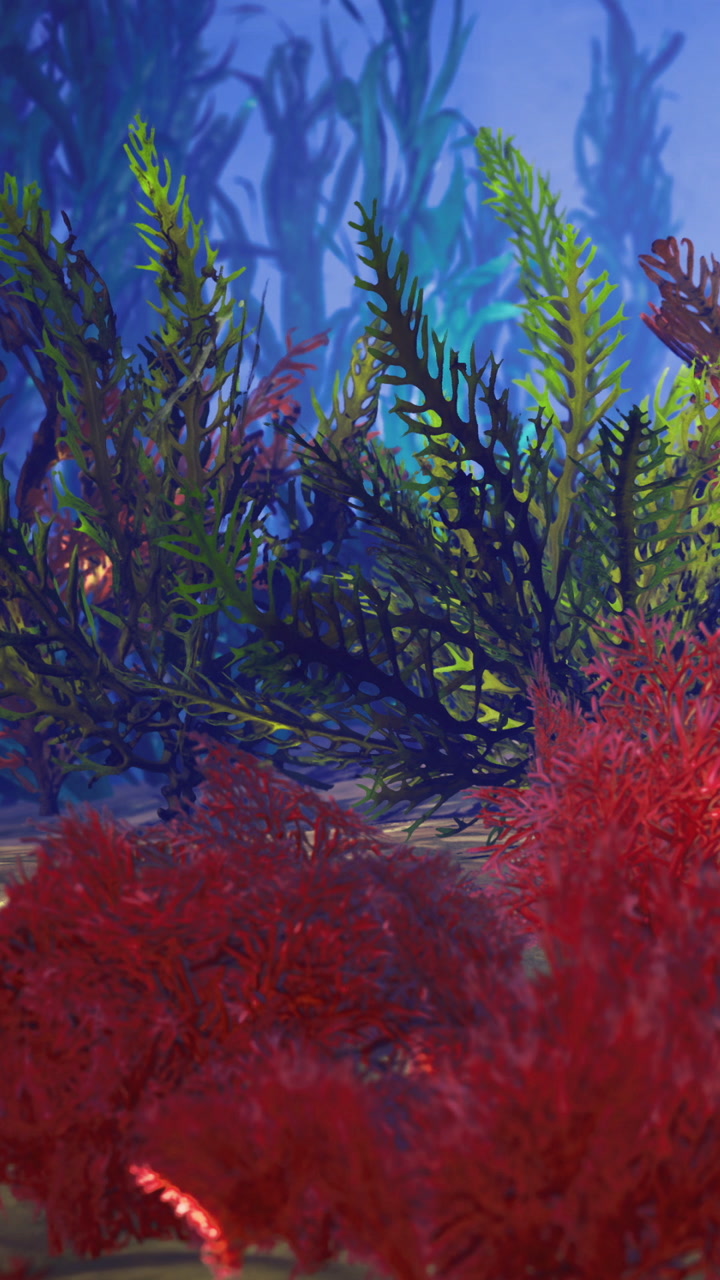 Colorful underwater scene with various sea plants in a vibrant marine setting