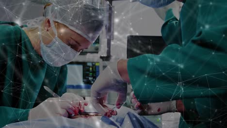 animación de la red de conexiones entre diversos médicos y médicas