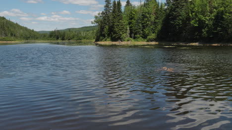 child swimming in a lake in a forest