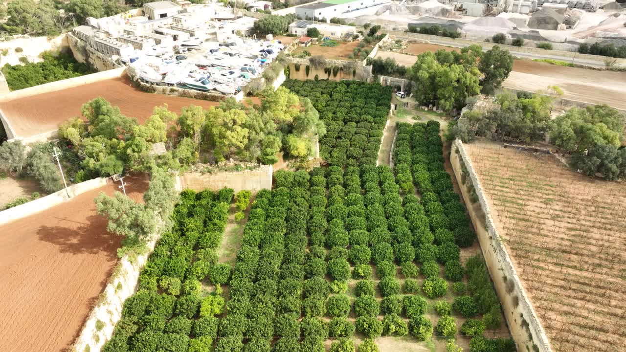 Drone footage highlights a lush green orchard enclosed by historic limestone walls, set beside red and brown fields, showcasing Malta’s striking agricultural patterns and rural heritage.