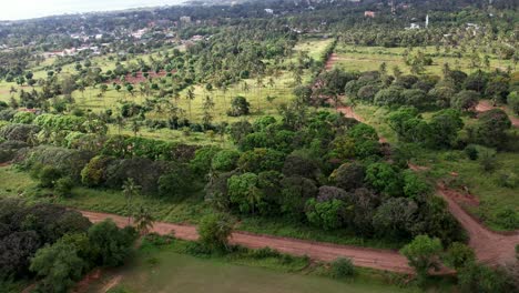 Vista-Aérea-Panorámica-Sobre-Un-Paisaje-Tropical-Con-Caminos-De-Tierra-Y-Palmeras